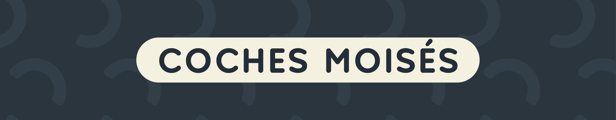Coche Moisés